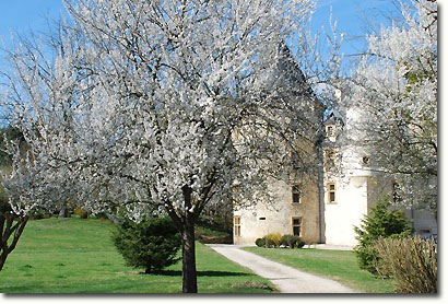 Springtime at the château