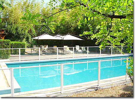 The sparkling swimming pool