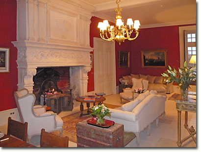 Salon and its extraordinary fireplace