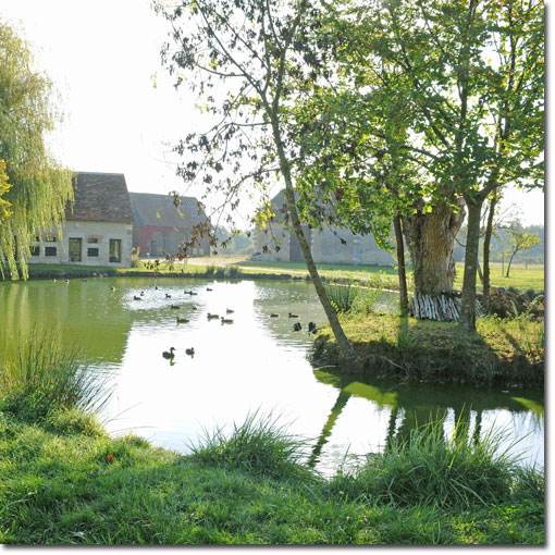 Le Verger and Duck Pond