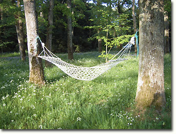 The inviting hammock