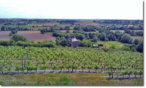 Chanzé and vineyards