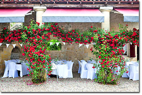 Dining among the roses