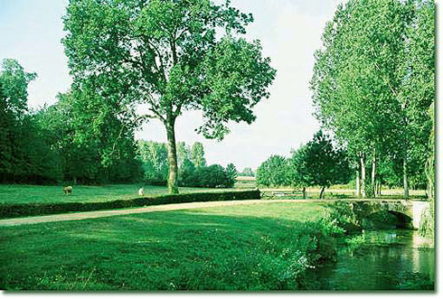 Park and gardens at Vaulog
